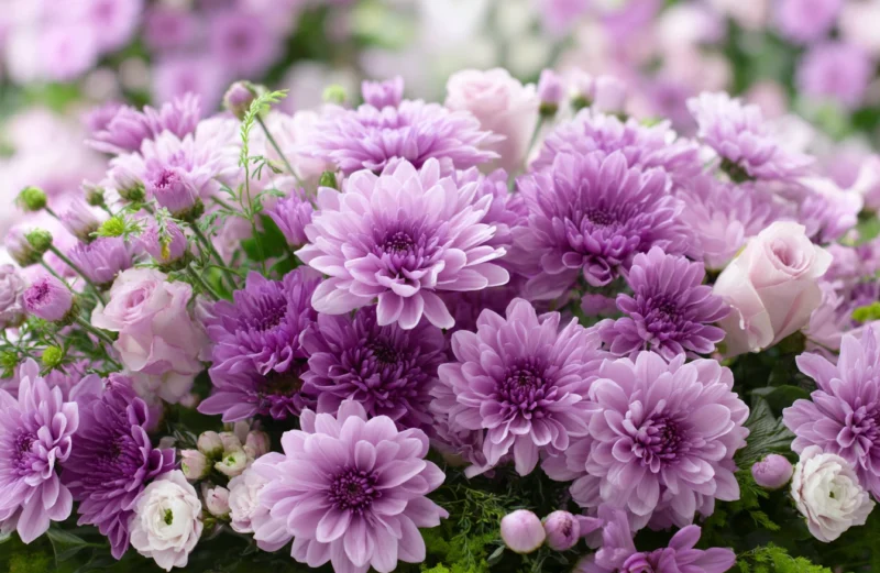 The Role of Chrysanthemums in Funeral Arrangements